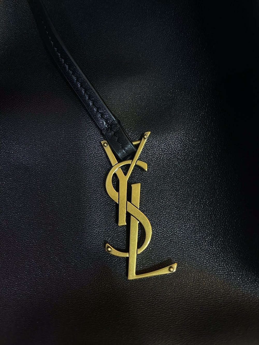 Dragons Bags YSLn Luxury Bag --119974