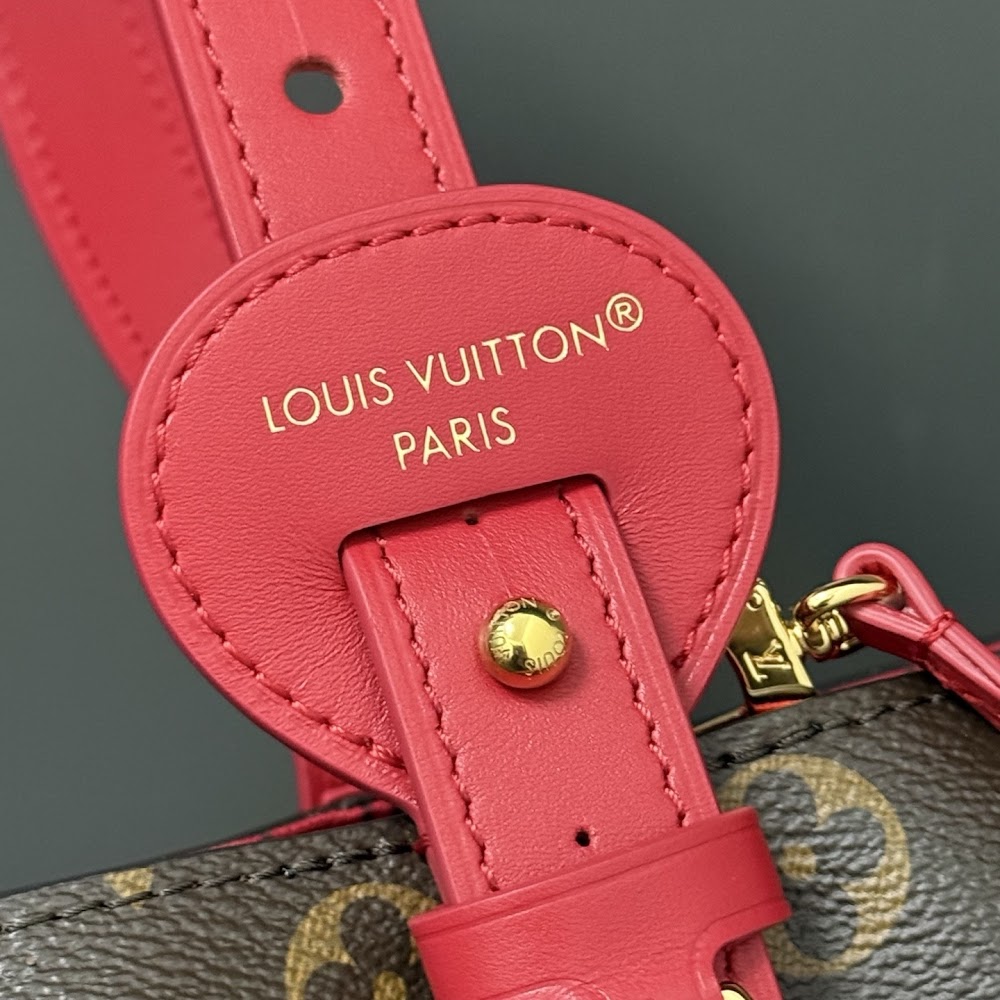 Dragons Bags ln Luxury Bag --95948