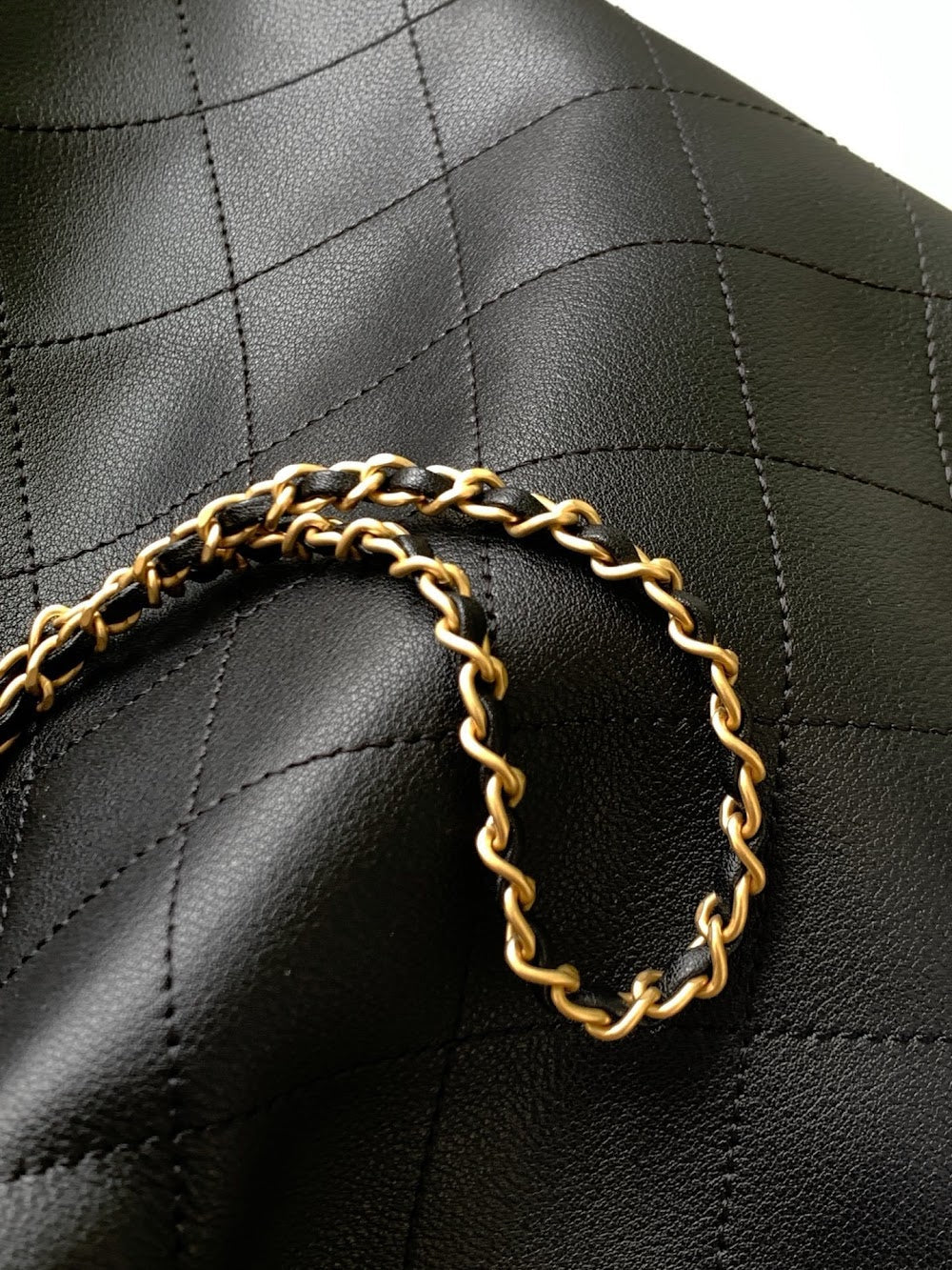 Dragons BagsCHn Luxury Bag --114121