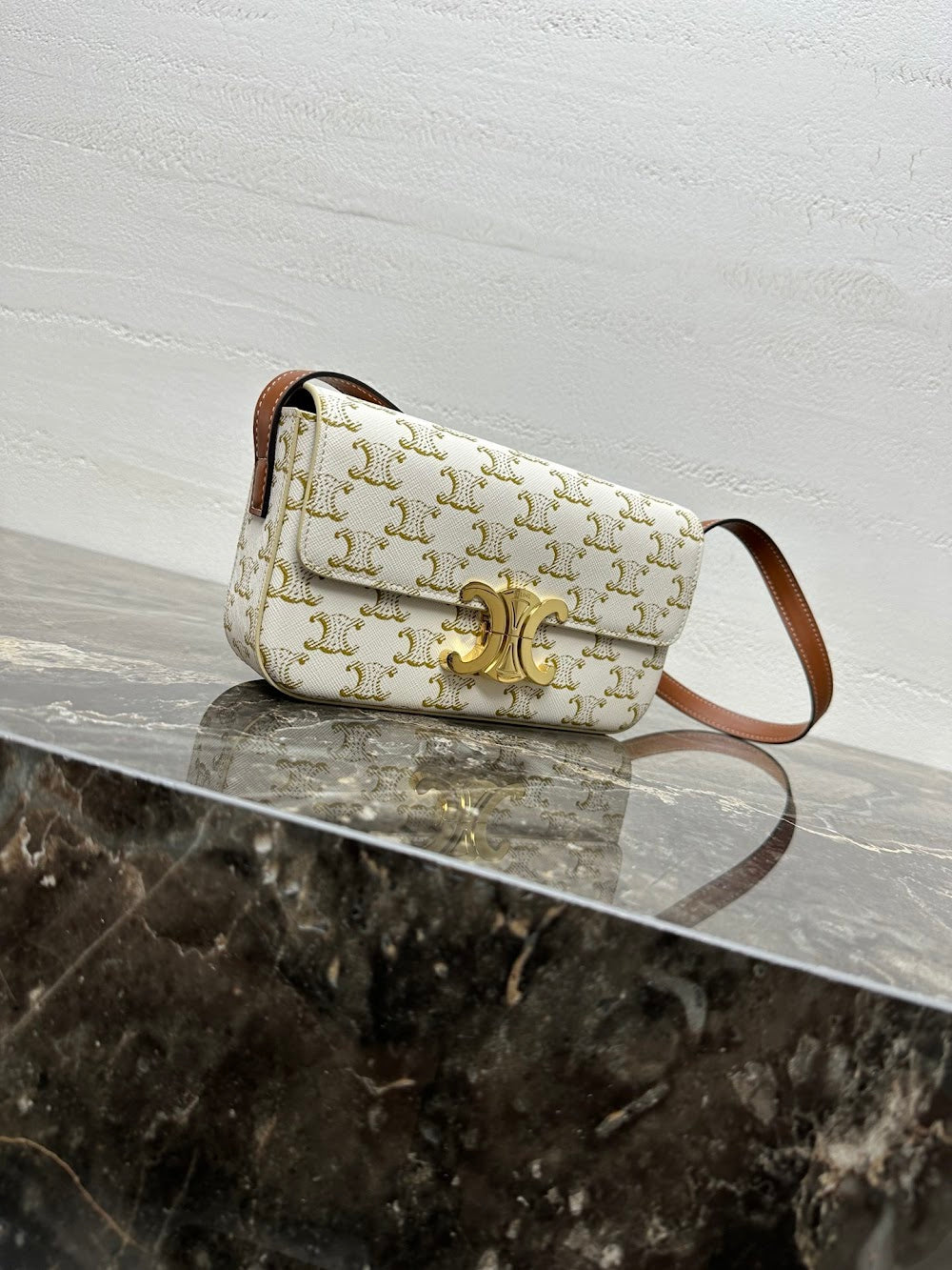 Dragons Bags Celine Luxury Bag --112429
