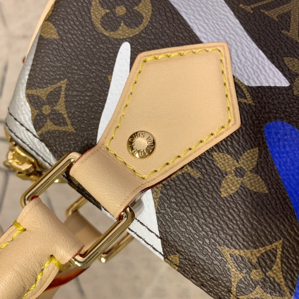Dragons Bags LV Luxury Bag --55863