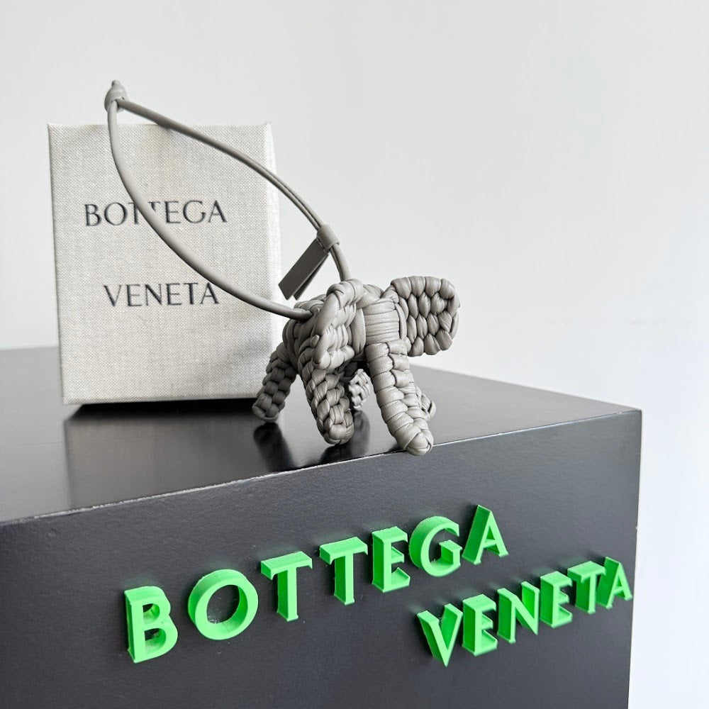 Dragons Bags Bottegan Luxury Bag --91461
