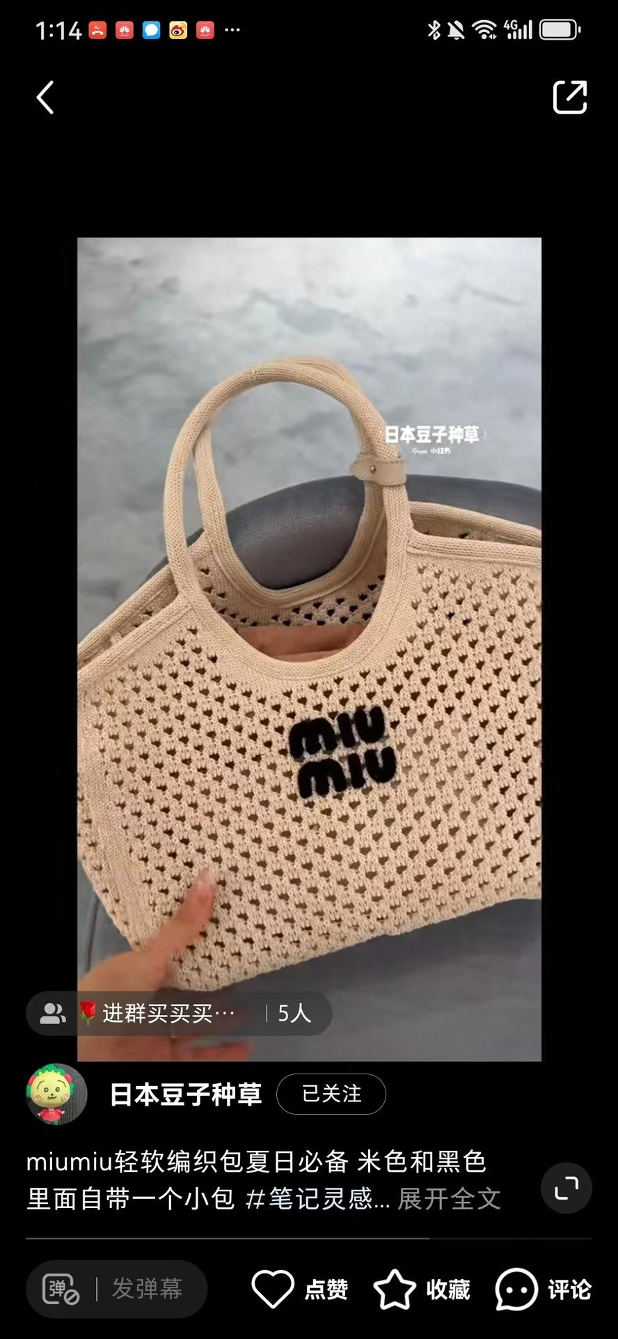 Dragons Bags Miun Miun Luxury Bag --122968