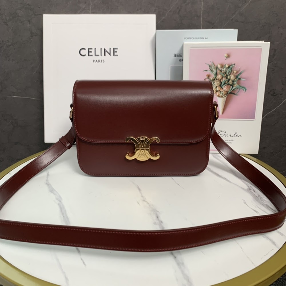 Dragons Bags Celine Luxury Bag --111993