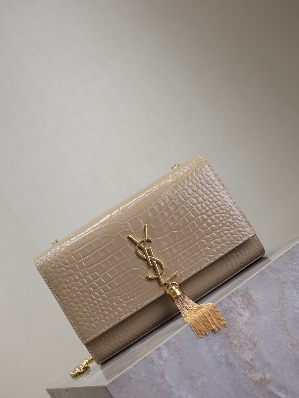 Dragons Bags YSLn Luxury Bag --119160