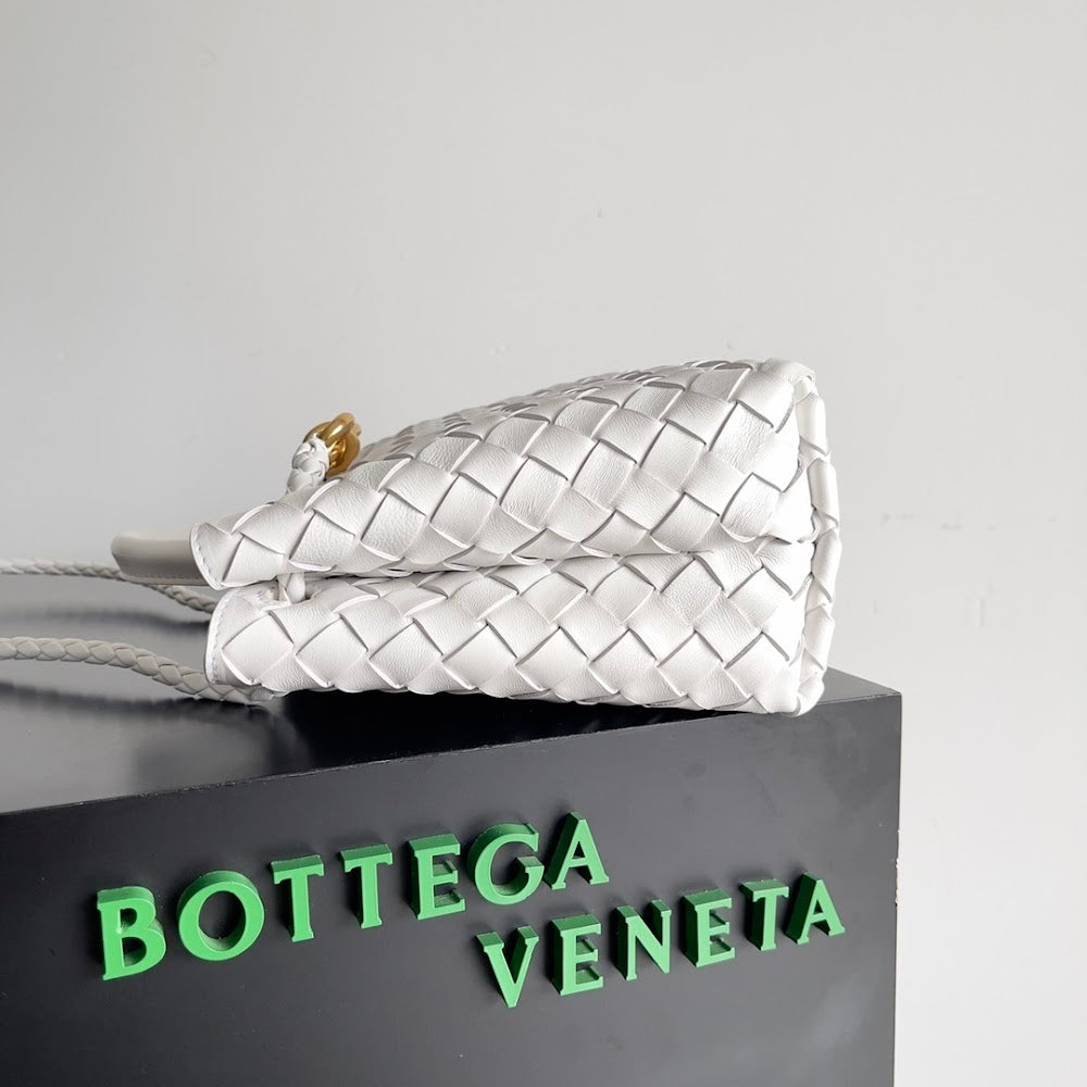 new-designer-premium-bags-nm10698