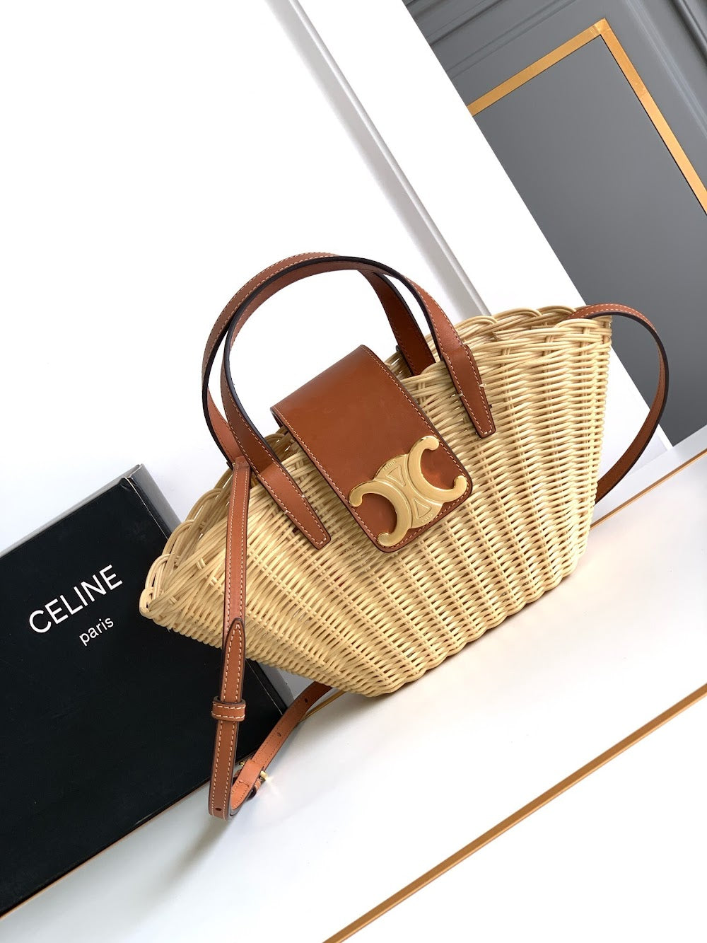 Dragons Bags Celine Luxury Bag --112574