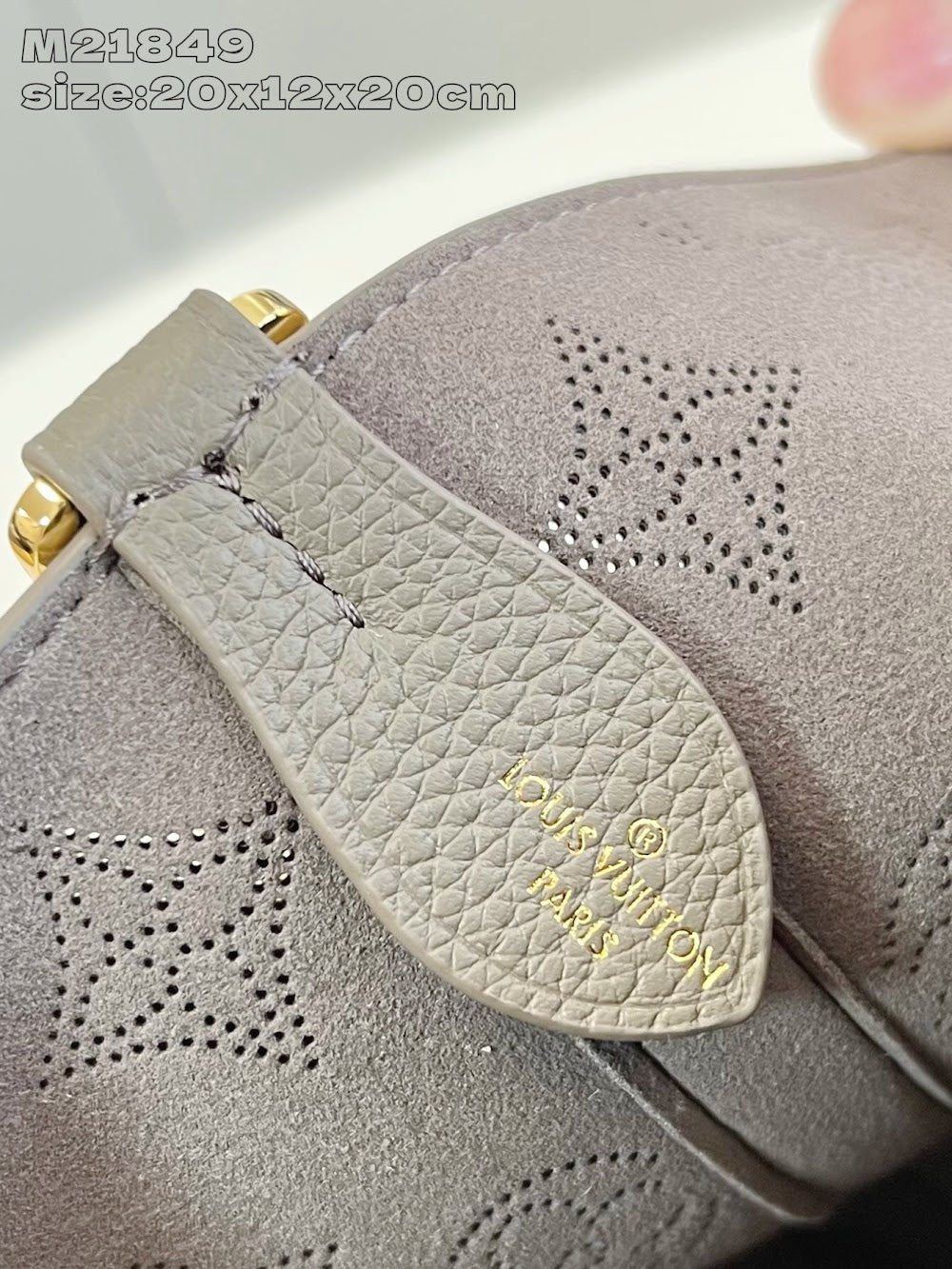 Dragons Bags ln Luxury Bag --96873