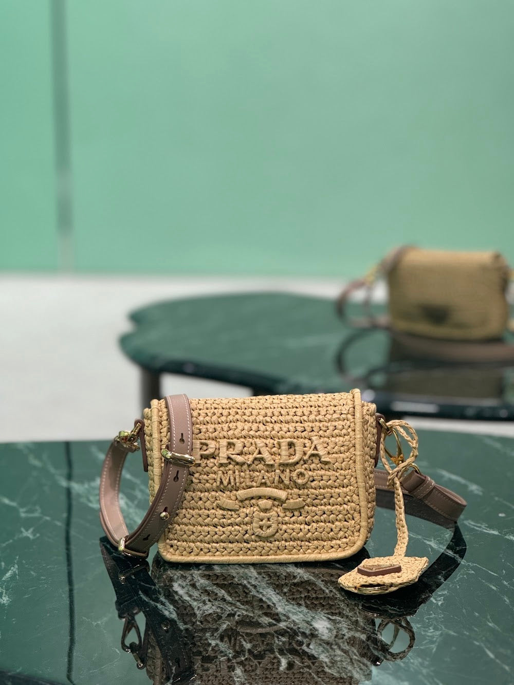 Dragons Bags Pradn Luxury Bag --102070