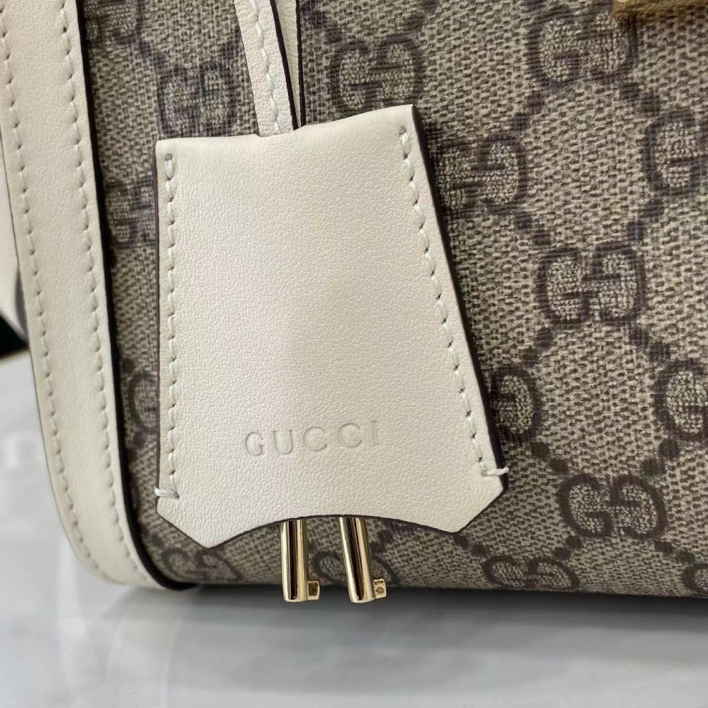Dragons Bags Guccin Luxury Bag --94432