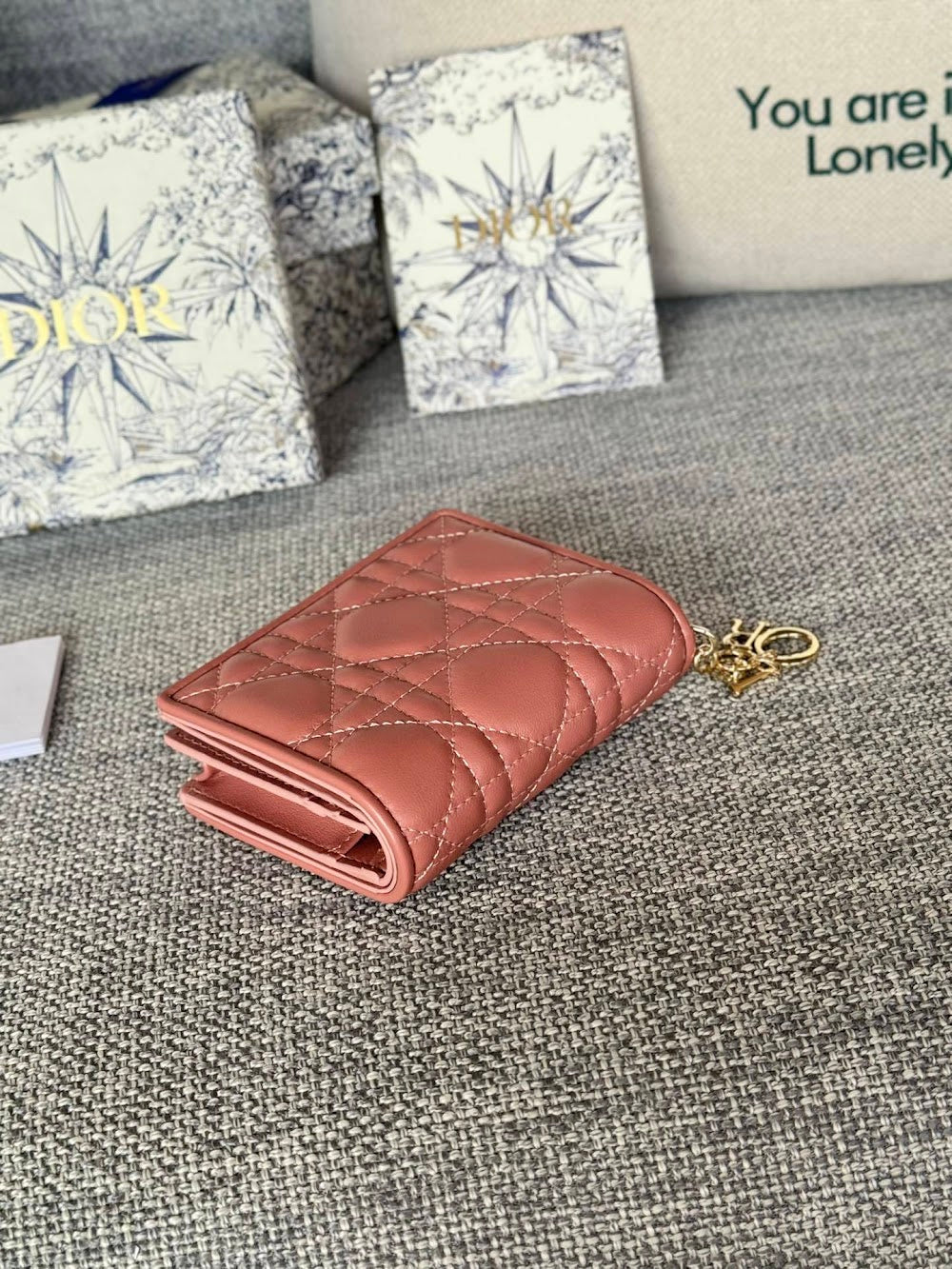 Dragons BagsDiorn Luxury Bag --115223