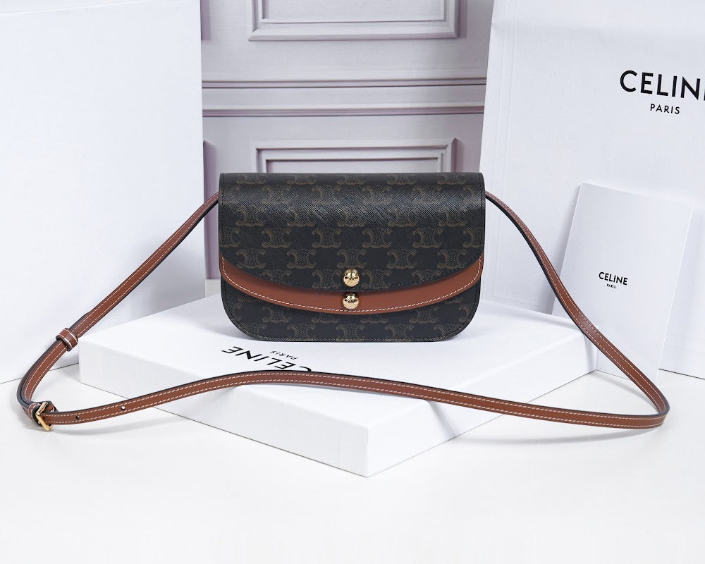 Dragons Bags Celine Luxury Bag --112596