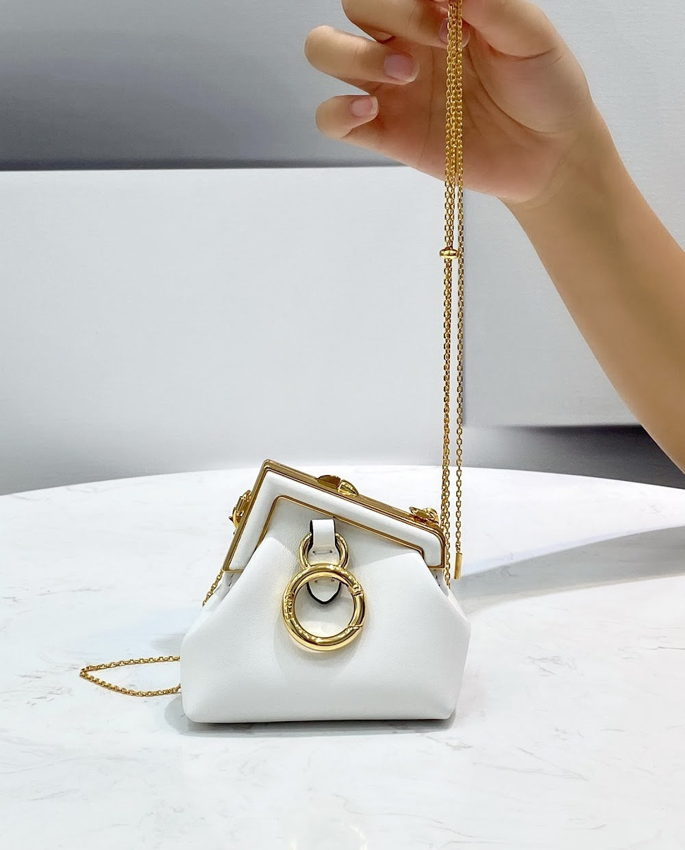 new-designer-premium-bags-nm15251