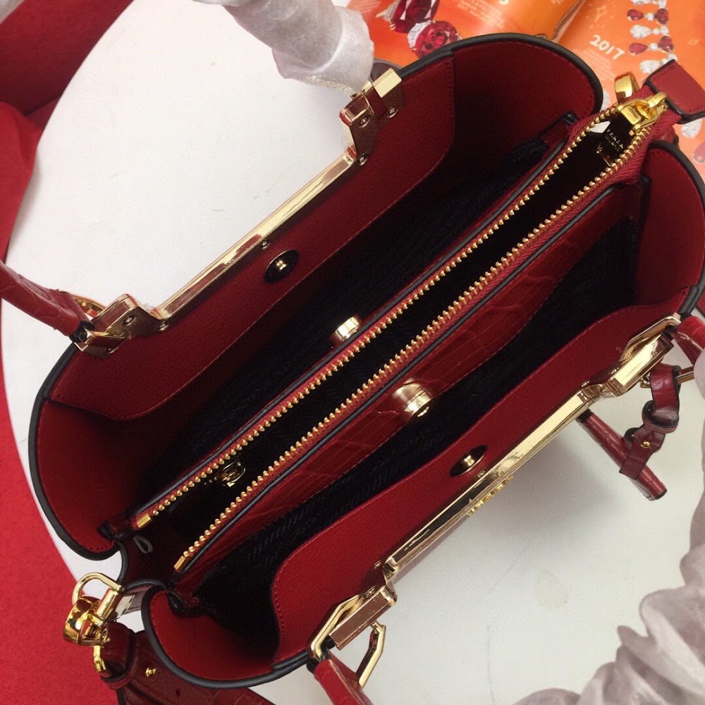 Dragons Bags pradn Luxury Bag --73271