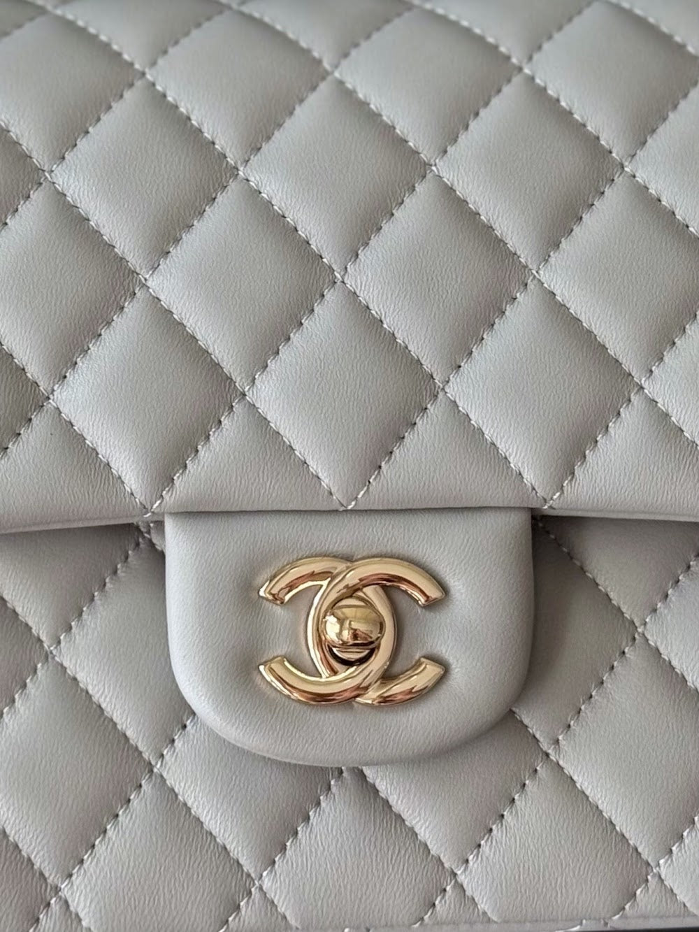 Dragons Bags CHn Luxury Bag --112981