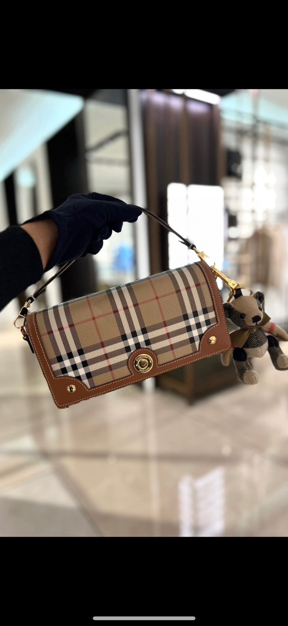 Dragons Bags Burberryn Luxury Bag --92056