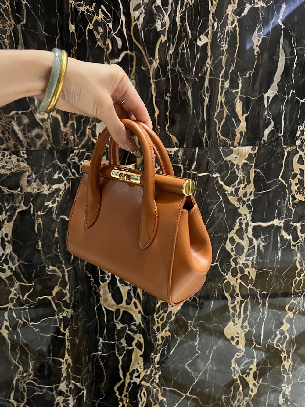 Dragons Bags DGn Luxury Bag --93900