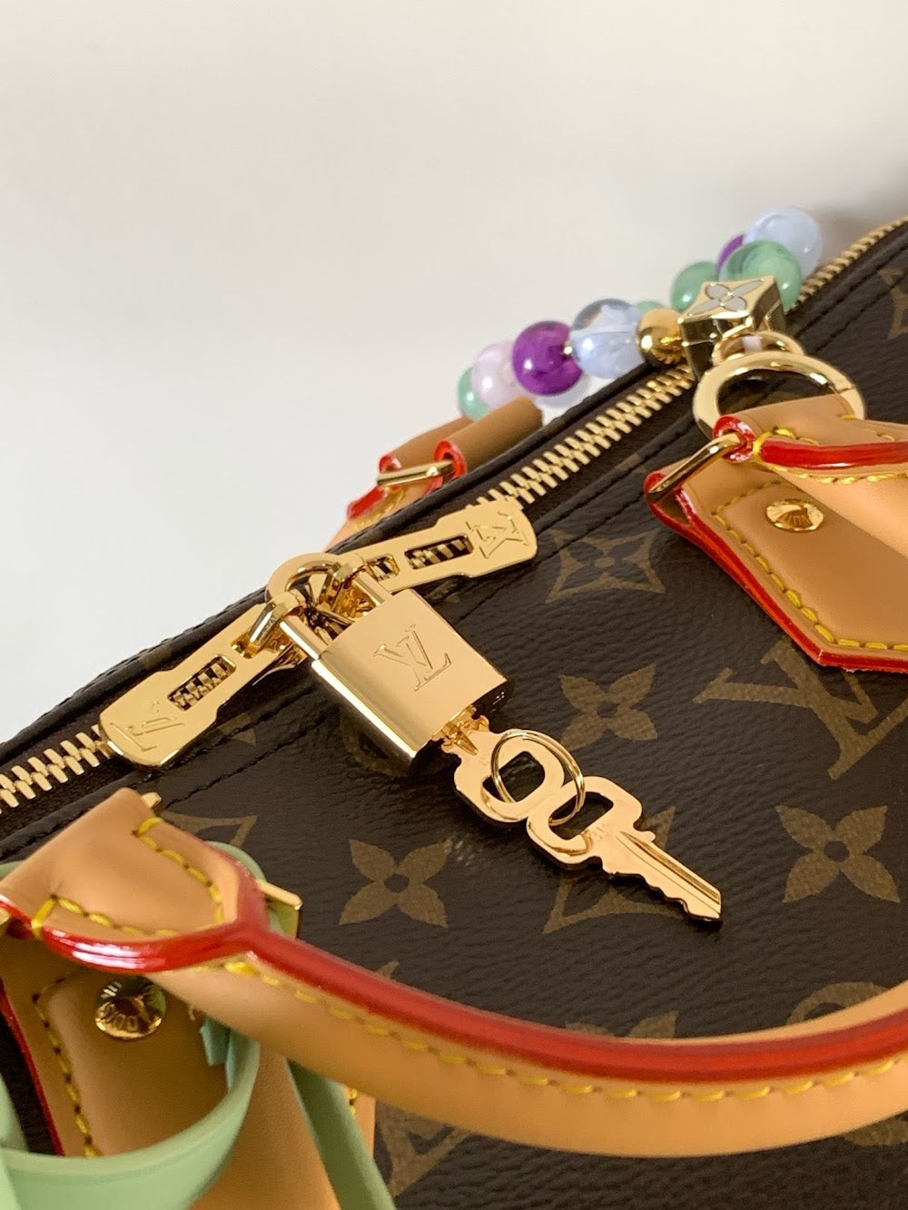 Dragons Bags LVn Luxury Bag --80259