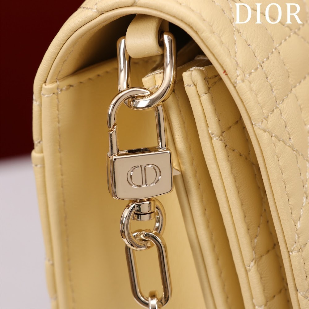 Dragons BagsDiorn Luxury Bag --116293