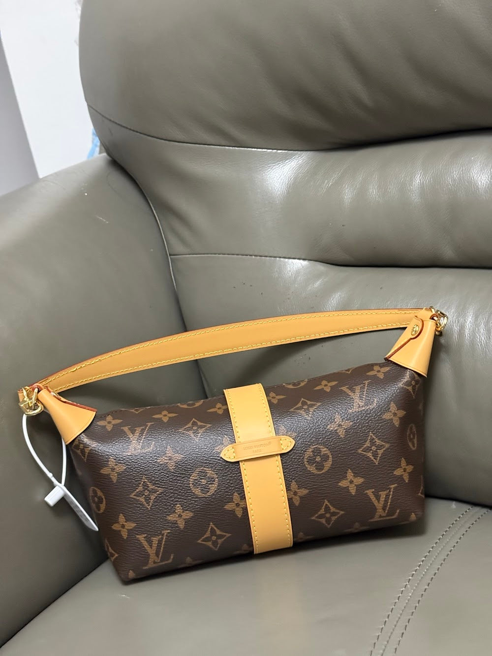 Dragons Bags ln Luxury Bag --95586