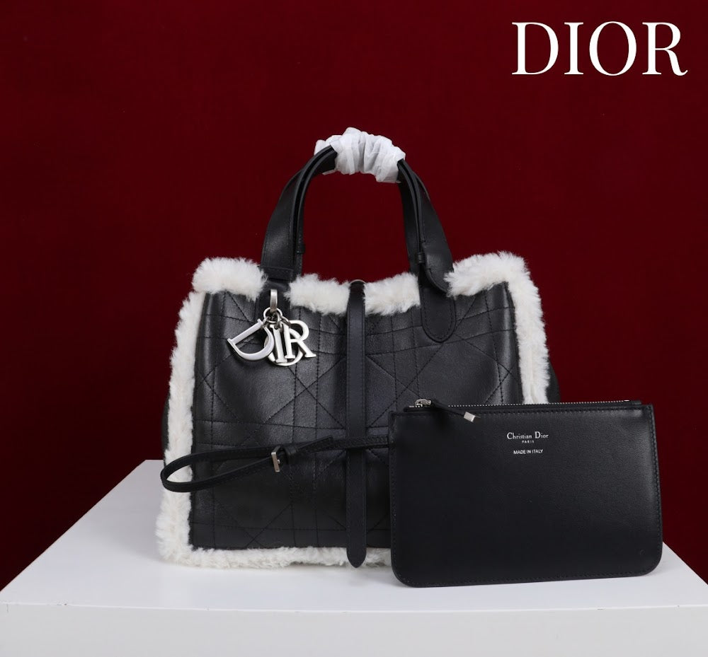 Dragons BagsDiorn Luxury Bag --114889