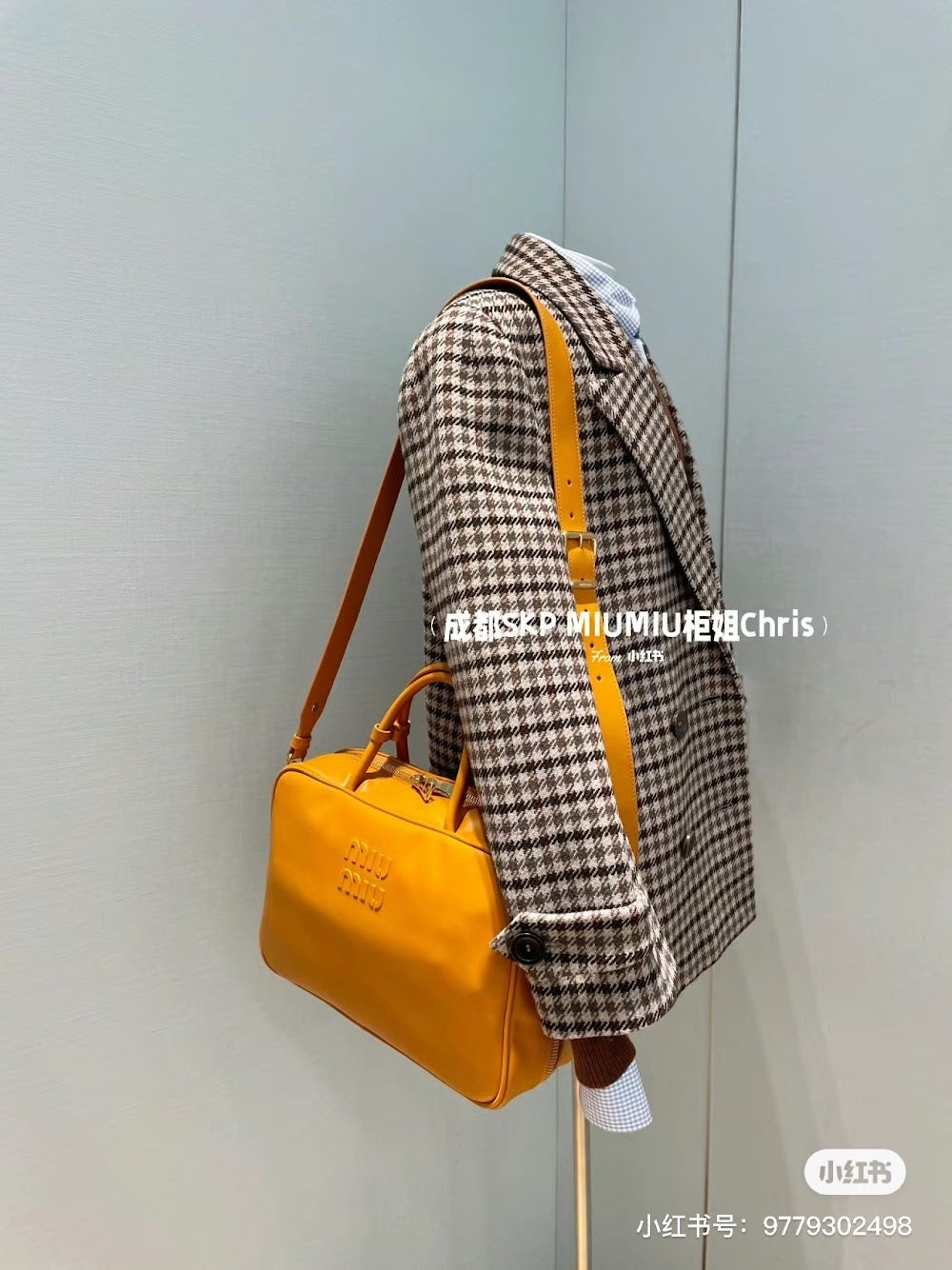 Dragons Bags Miun Miun Luxury Bag --123070