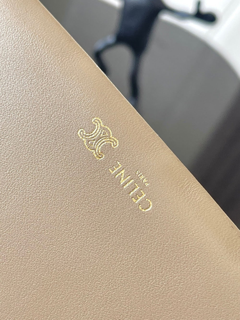 Dragons Bags Celine Luxury Bag --112652