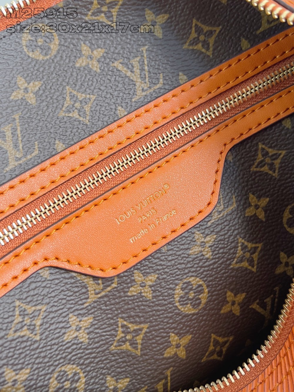 Dragons Bags ln Luxury Bag --95670