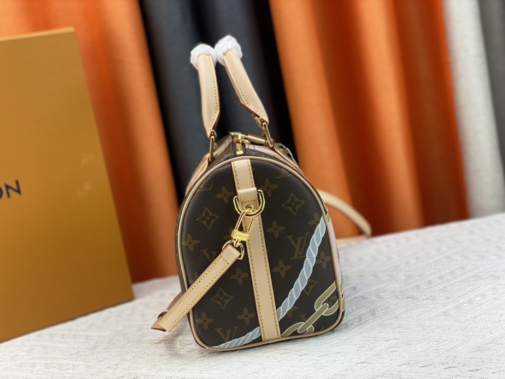 Dragons Bags LVn Luxury Bag --81245