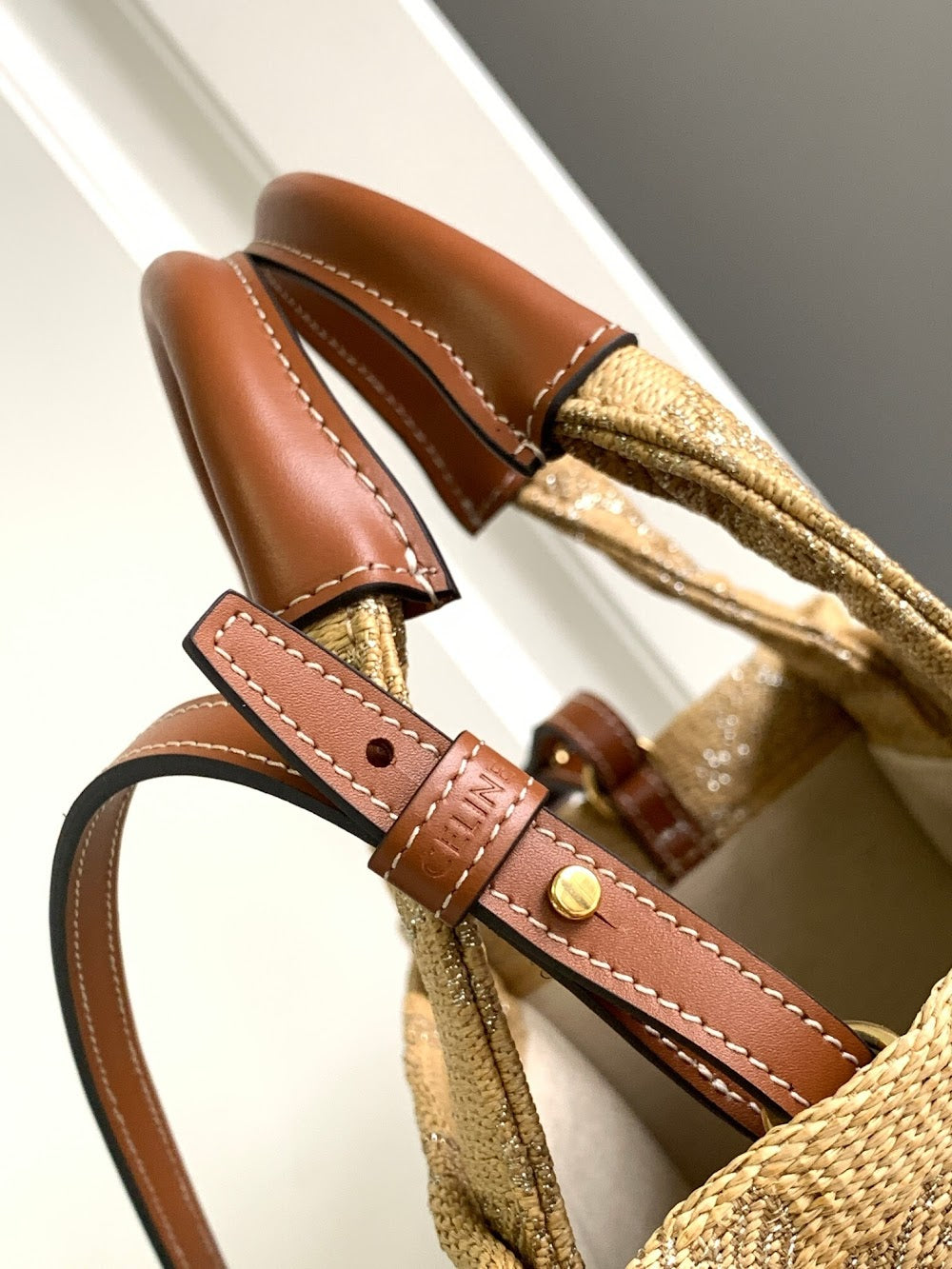 Dragons Bags Celine Luxury Bag --112134