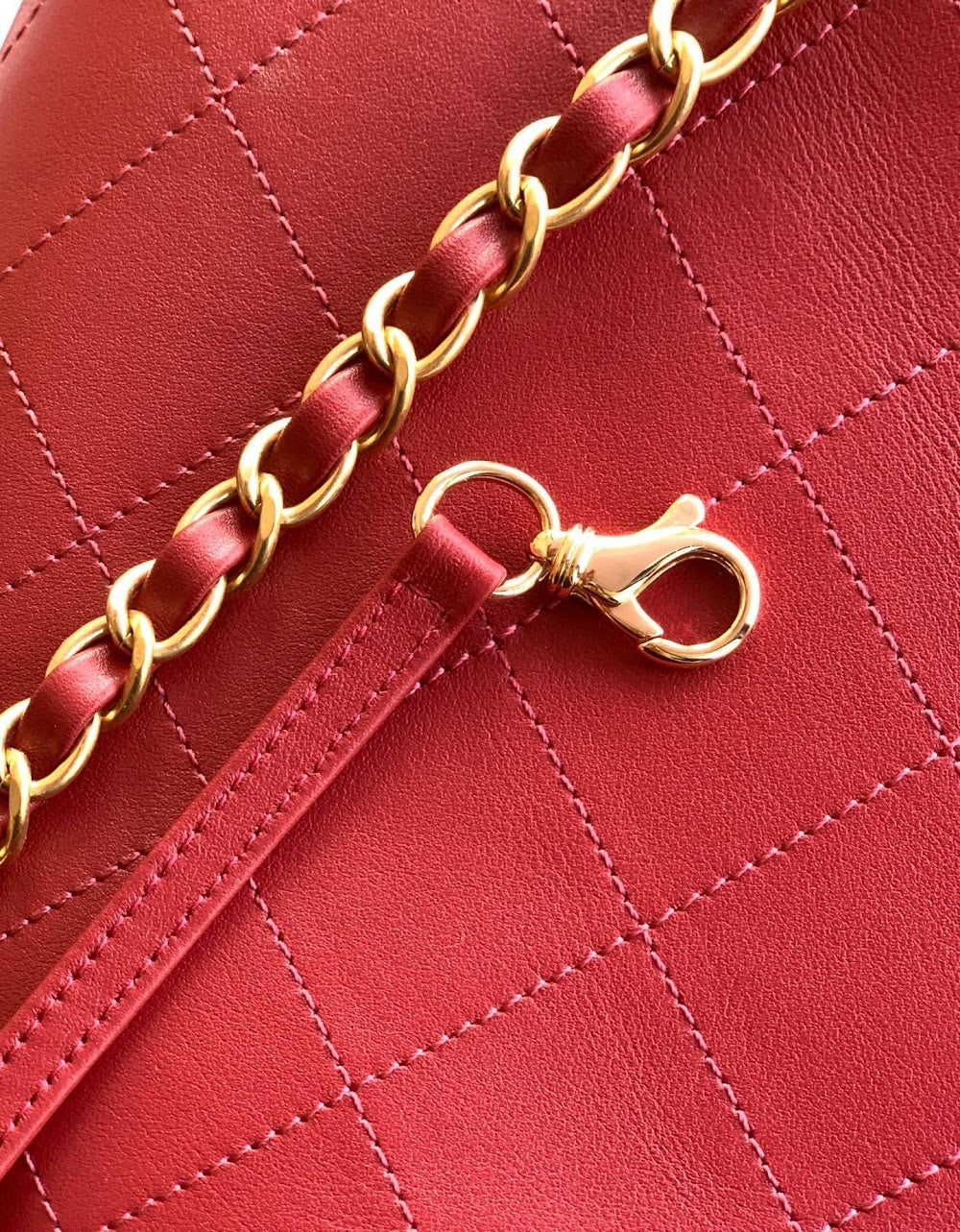 Dragons Bags CHn Luxury Bag --113030