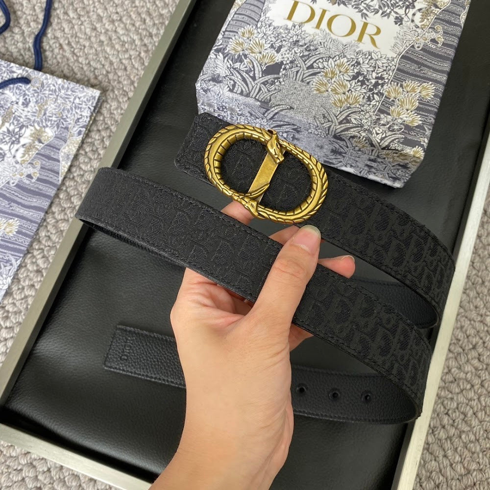 Dragons Bags Diorn Luxury Belt --107756