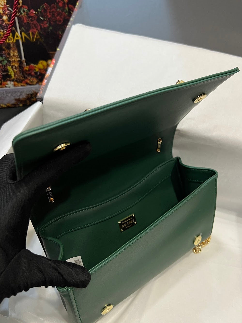 Dragons Bags DGn Luxury Bag --93876