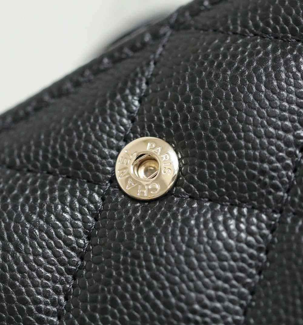Dragons BagsCHn Luxury Bag --114100