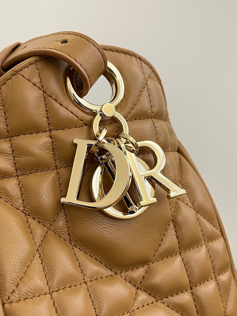 Dragons BagsDiorn Luxury Bag --114958