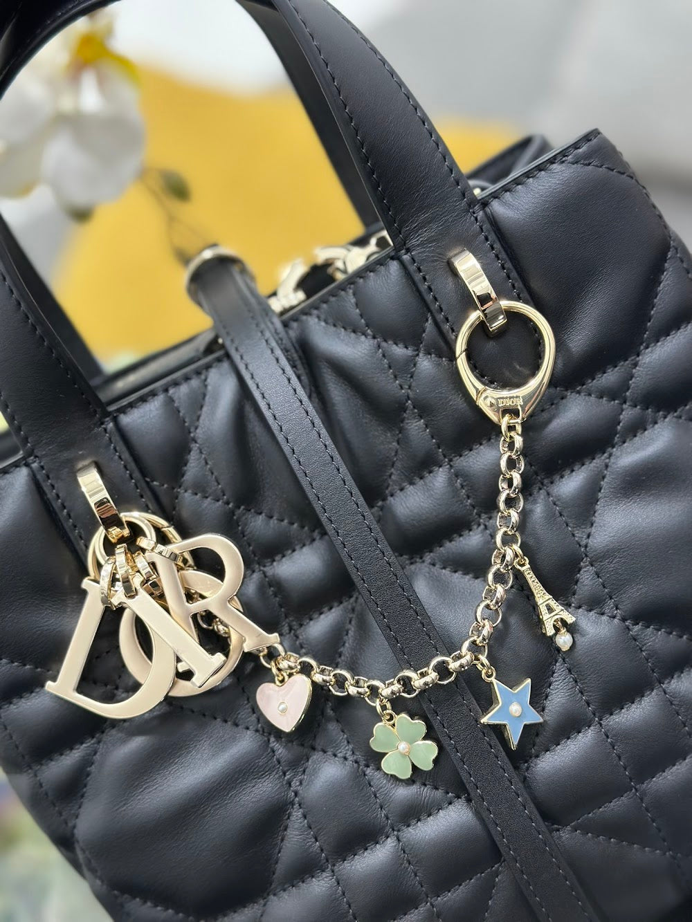 Dragons BagsDiorn Luxury Bag --115791