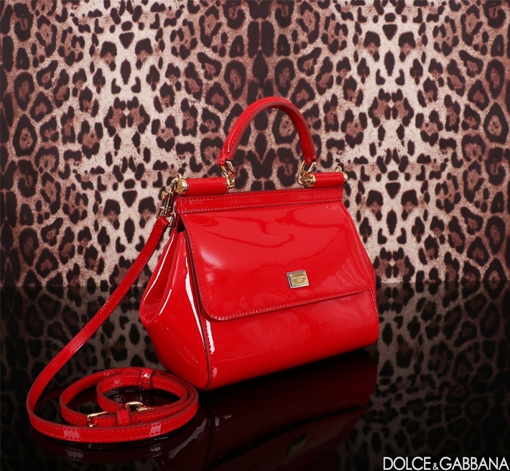Dragons Bags DGn Luxury Bag --93636