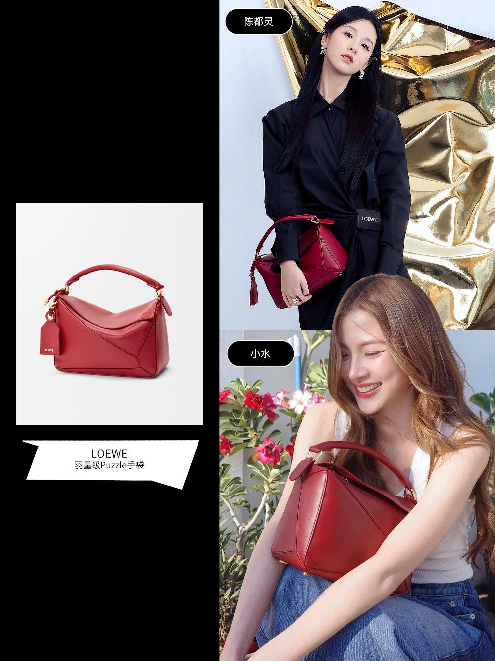 Dragons Bags Lowen Luxury Bag --99951