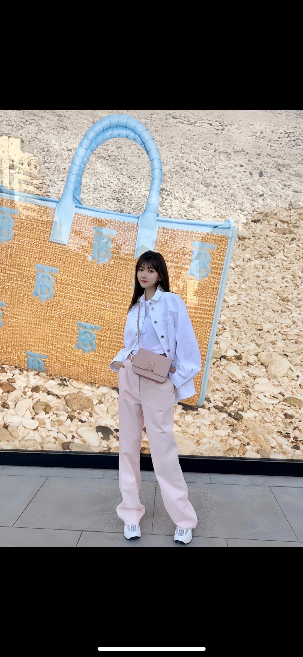 Dragons Bags Burberryn Luxury Bag --92695