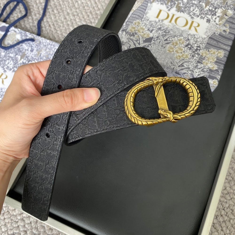 Dragons Bags Diorn Luxury Belt --104902