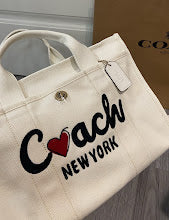 new-luxury-designer-bags-nm6529
