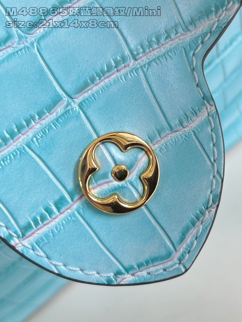 Dragons Bags ln Luxury Bag --95734