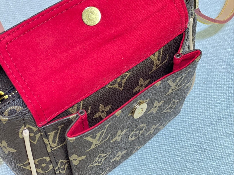 Dragons Bags LVn Luxury Bag --79220