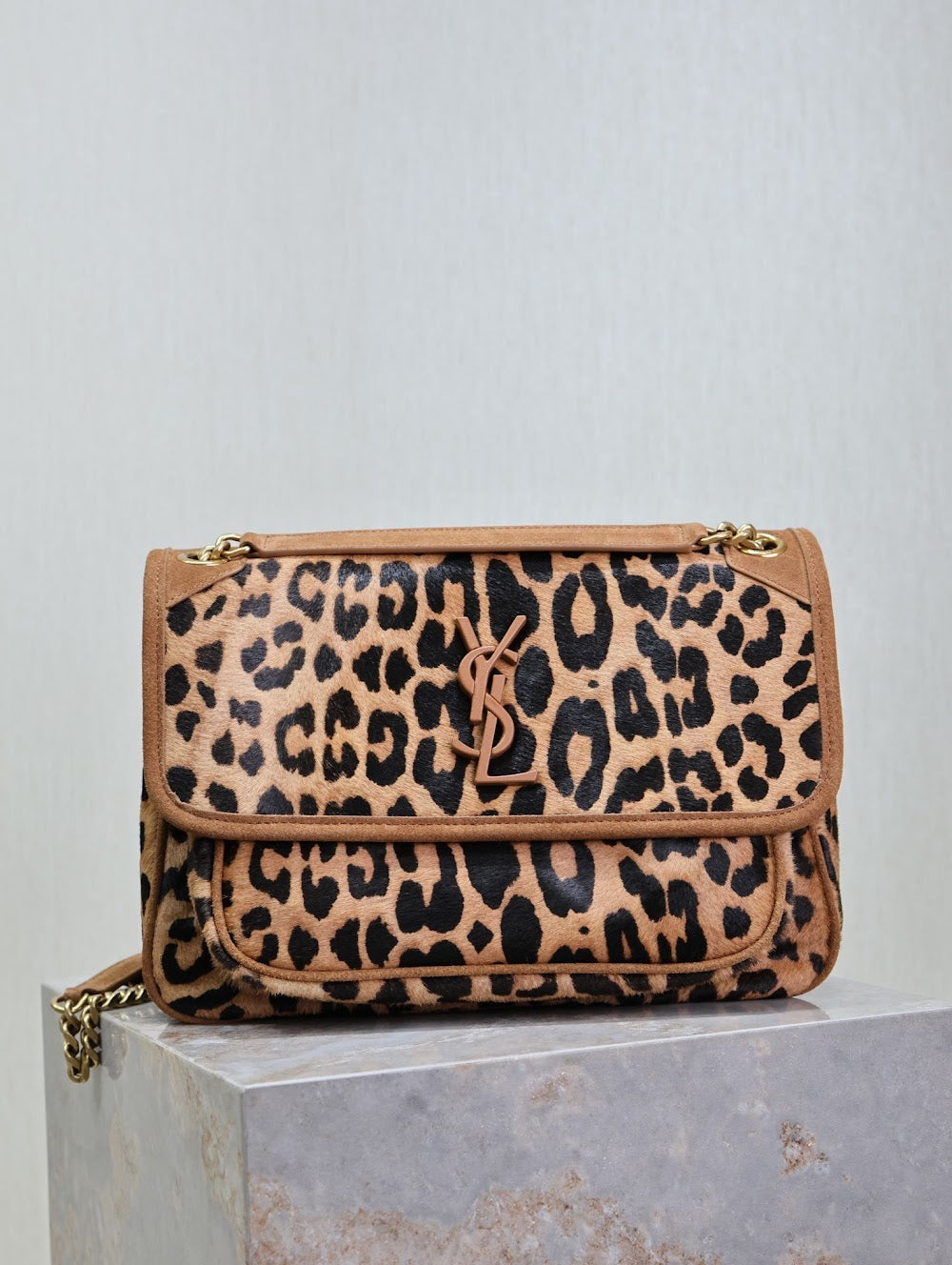 Dragons Bags YSLn Luxury Bag --119649