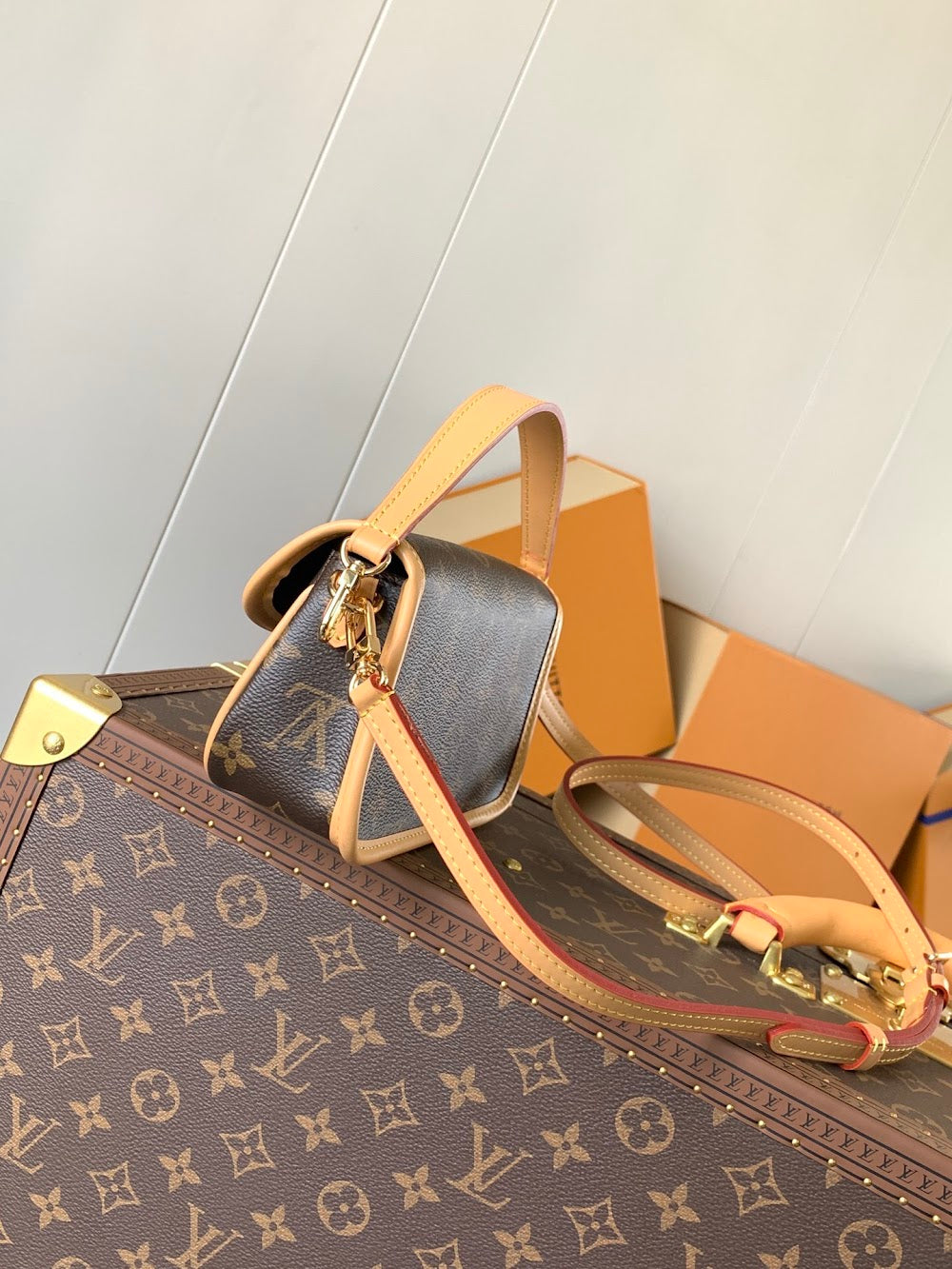 Dragons Bags LVn Luxury Bag --79941