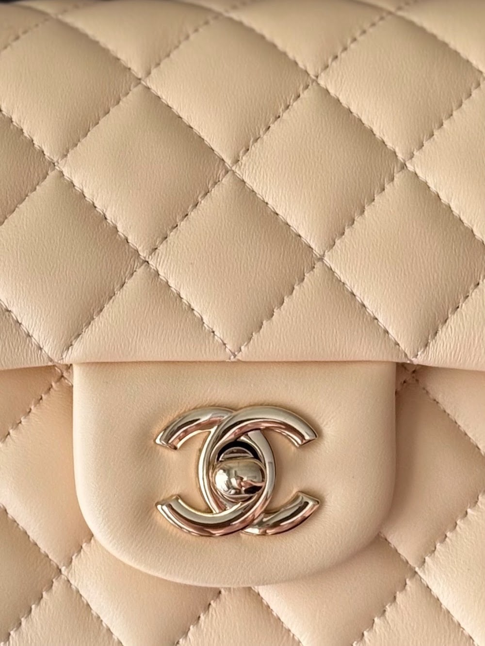 Dragons Bags CHn Luxury Bag --113000