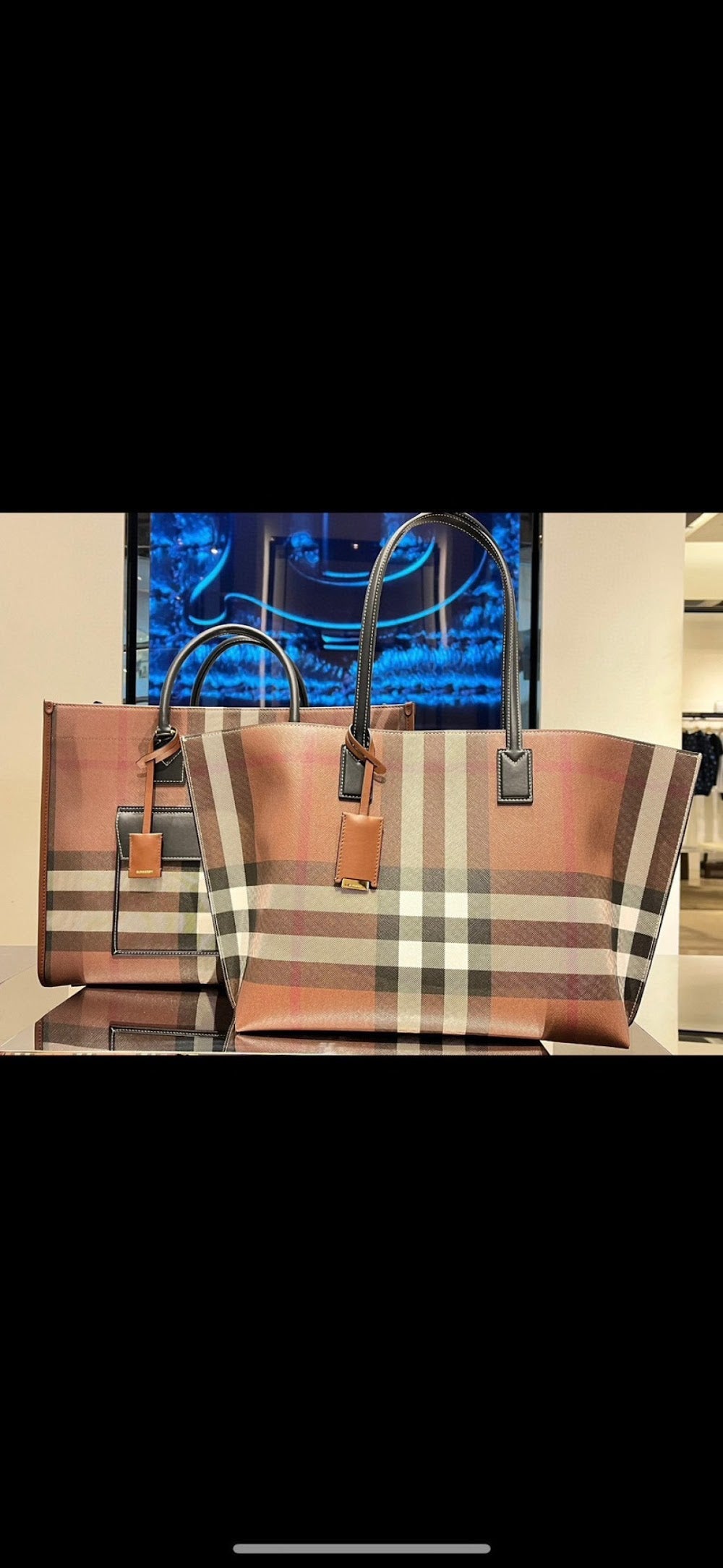 Dragons Bags Burberryn Luxury Bag --92449