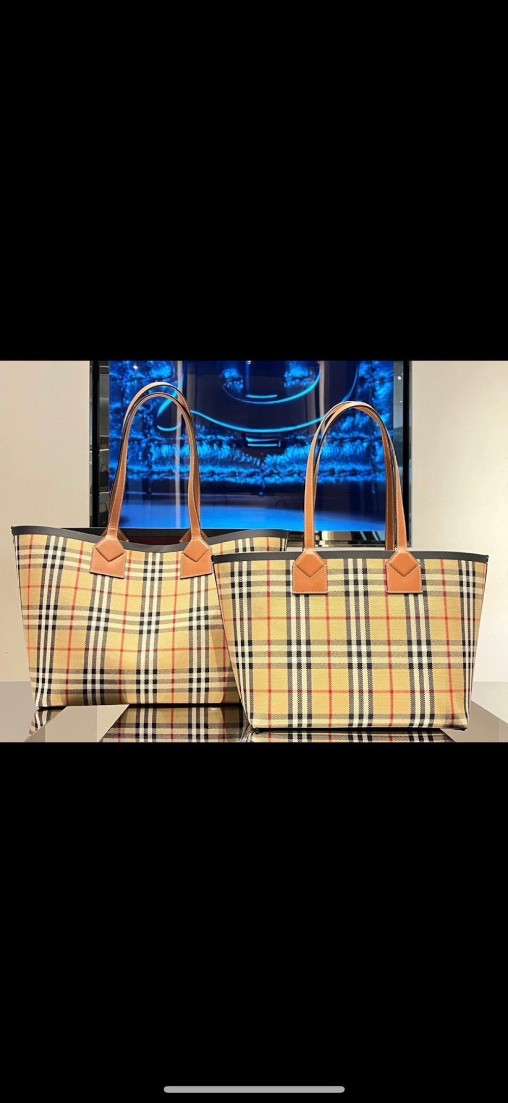 Dragons Bags Burberryn Luxury Bag --92609