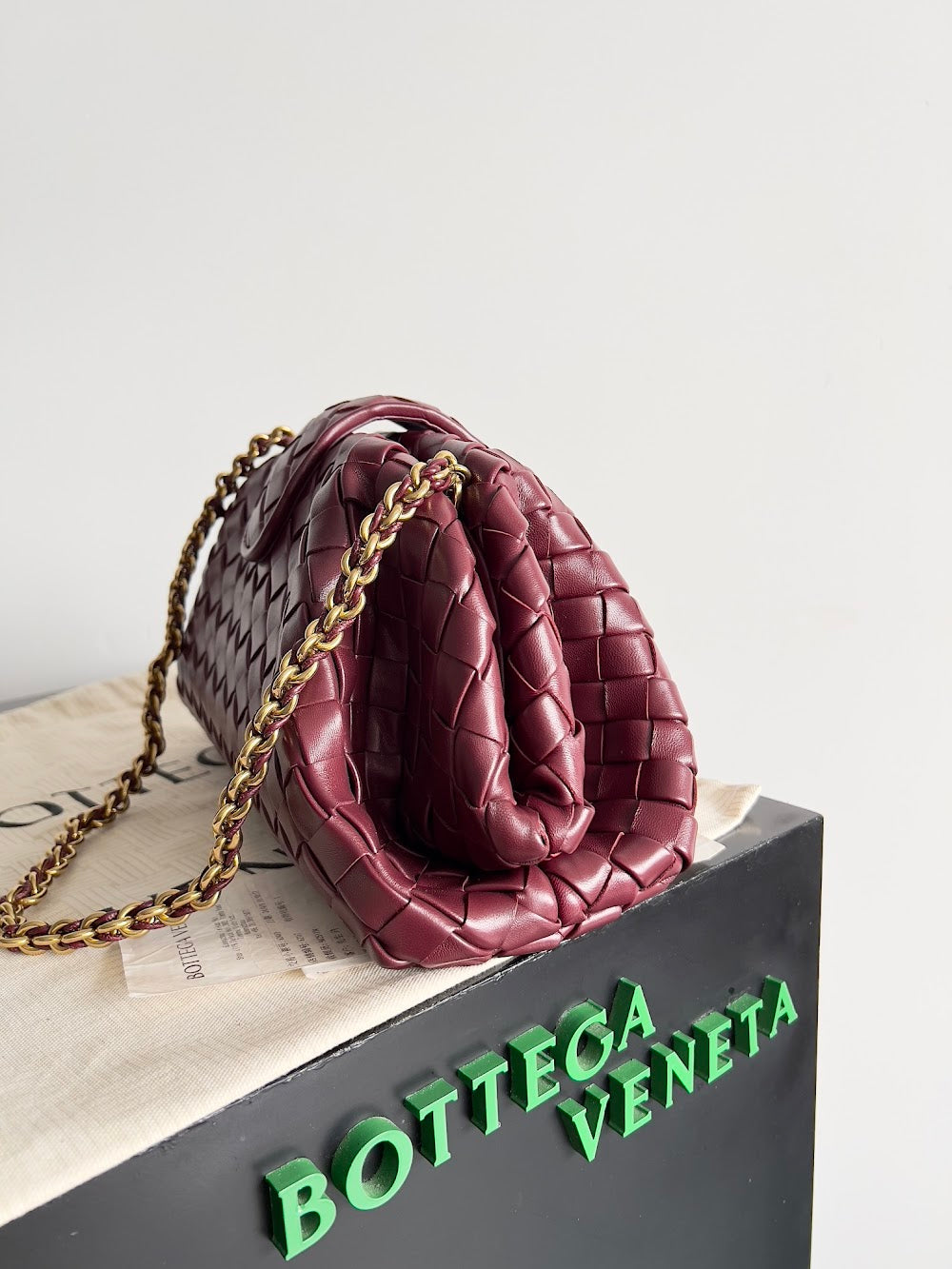 Dragons Bags Bottegan Luxury Bag --91276