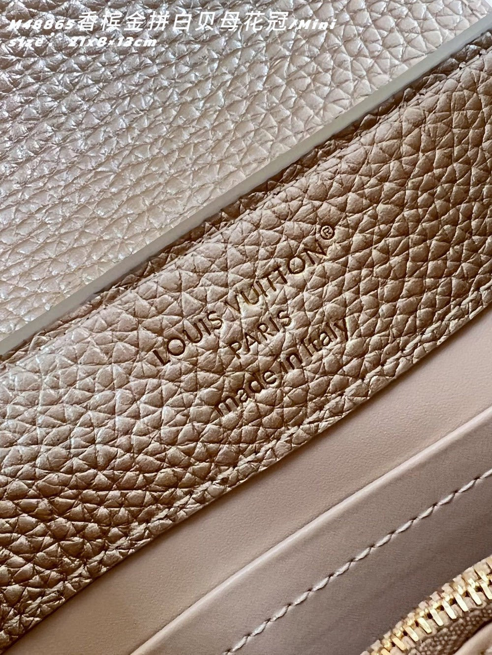 Dragons Bags ln Luxury Bag --96692